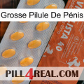 Grosse Pilule De Pénis 43